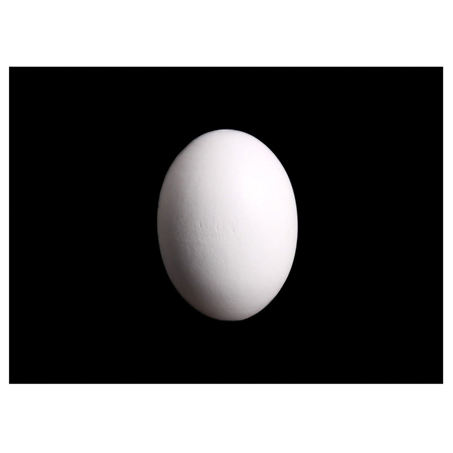 Andux Pack of 6 Wooden Fake Eggs for Easter Christmas MZJJD-01 white