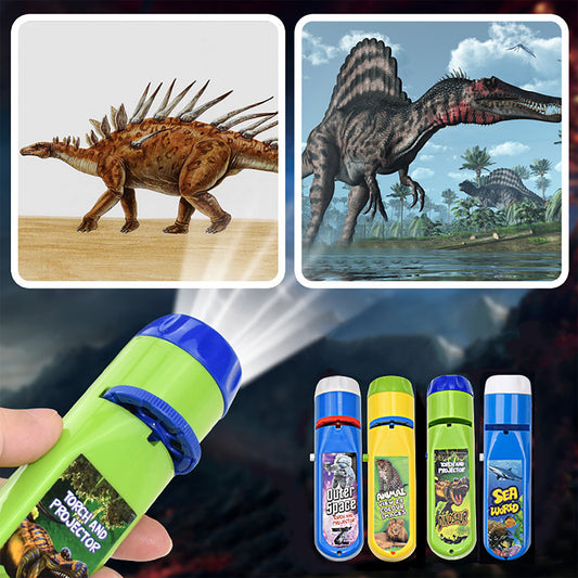 NOOLY Torch Projector Toy for Kids Flashlight Educational Toy 3 + Years Old TYWJ-01 (Dinosaur and Space)